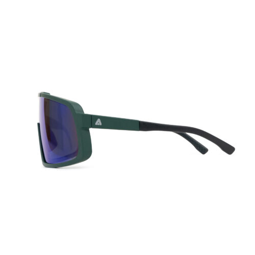 ANTEOJO GOLDCOAST - Image 6