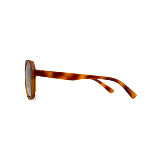 ANTEOJO KANDUI - Image 8